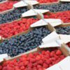 berries shop
