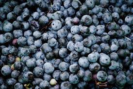blueberry where to buy