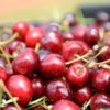 box of cherries