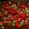 box of fruit