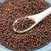 brown mustard seed