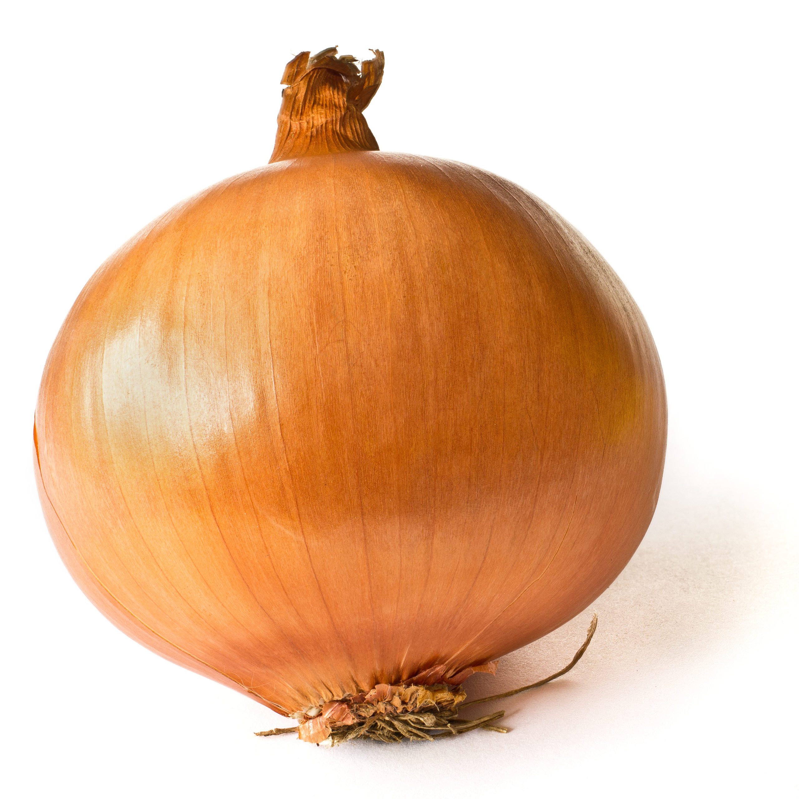 brown onion