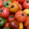 bulk buy australia food