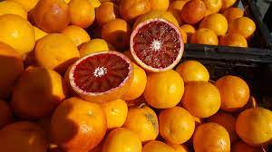 buy blood oranges
