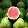 candy melons