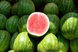 candy melons