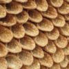 cannoli shells