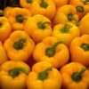 capsicum yellow