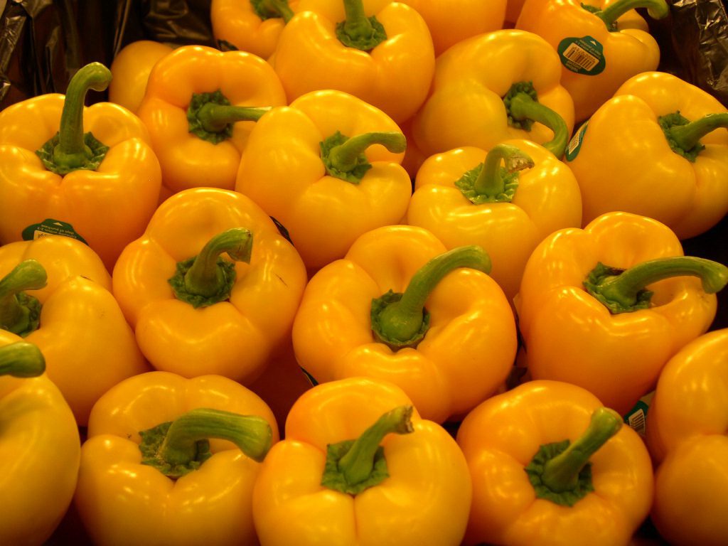 capsicum yellow