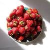 cheap strawberries