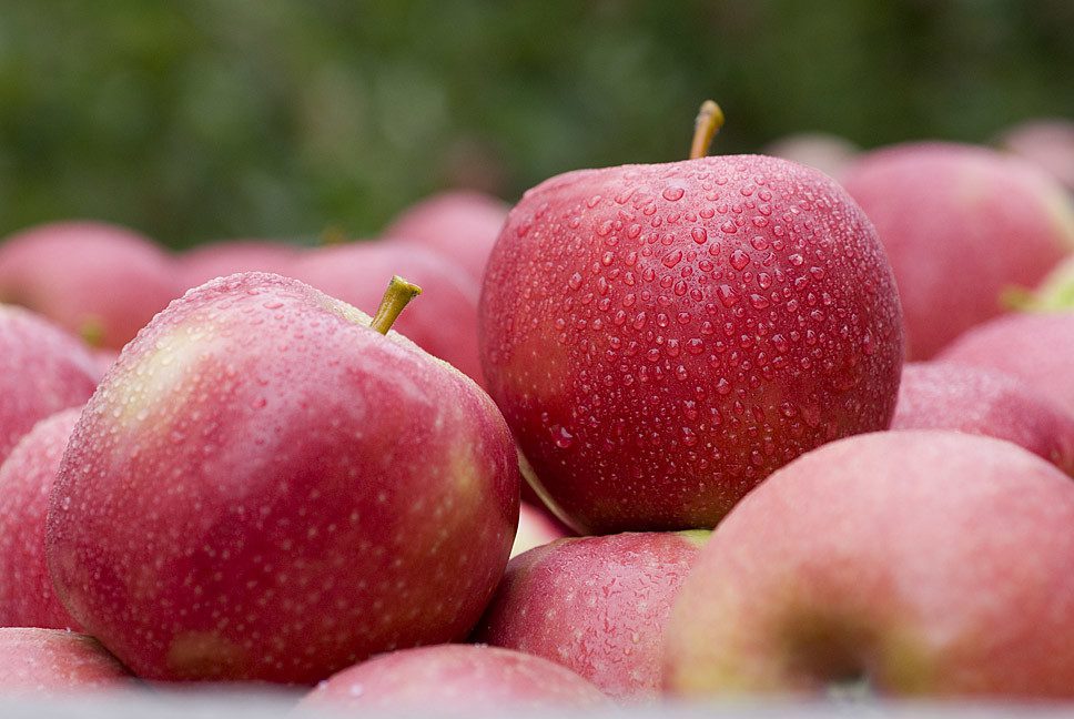 cloudy apple
