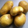 desiree potatoes
