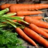 Dutch Carrots