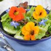 edible flowers melbourne