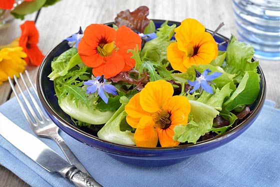 edible flowers melbourne