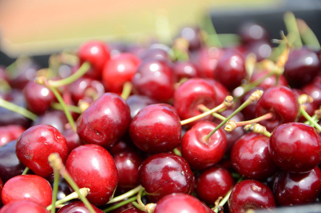 farm cherry