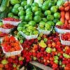 farm produce stores