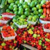 farm shop