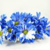 flower bunch