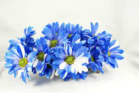 flower bunch