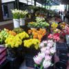 flowers market