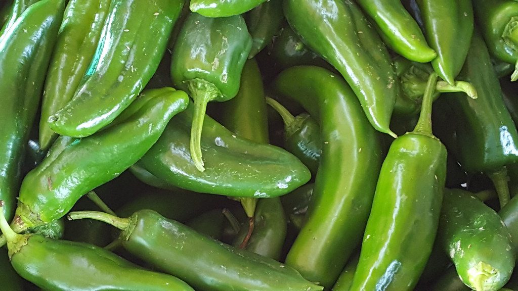 fresh jalapeno