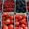 fruit boxes
