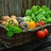 fruit boxes gift