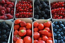 fruit boxes