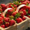 fruit in a box