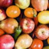 fruit vegetables