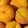 golden queen peaches