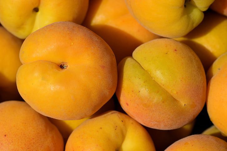 golden queen peaches