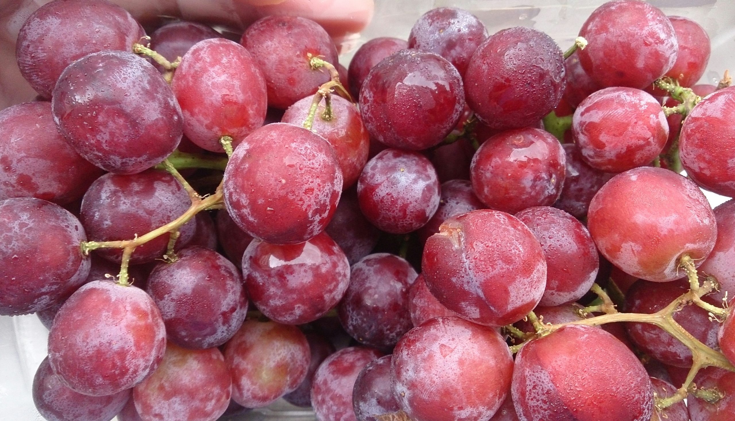 grapes red