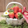 hampers sydney