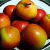 jazz apple