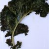 kale tuscan