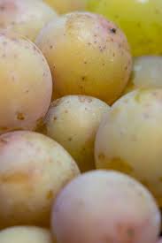 kestrel potatoes