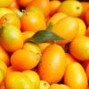 Kumquats