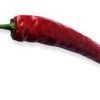 long chilli