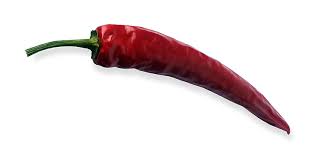 long chilli