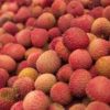 lychee farms