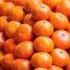mandarin honey murcott