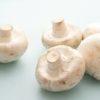 mushroom prices