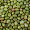 olives farm