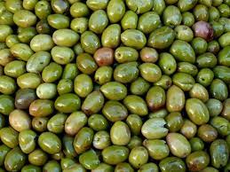 olives farm