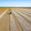 online farmers