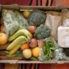 organic box