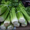 organic celery