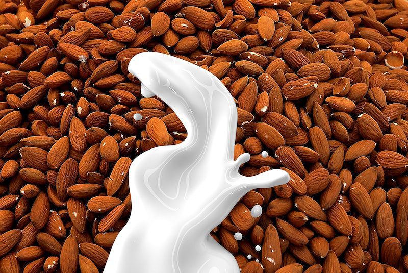 organics milk